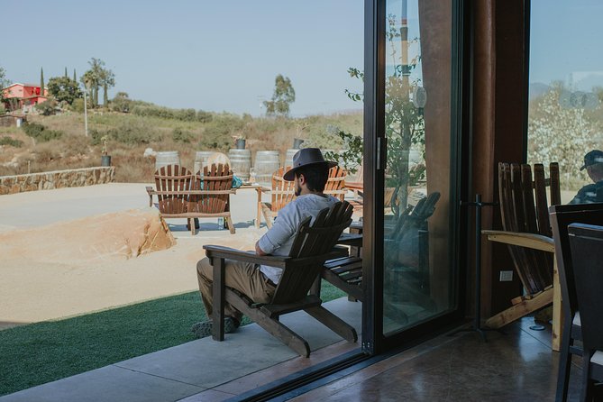 Xecue Wine Tasting in the Guadalupe Valley - Key points to know before you book