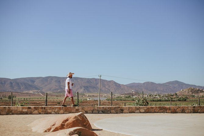 Xecue Wine Tasting in the Guadalupe Valley - The service can shape the whole visit
