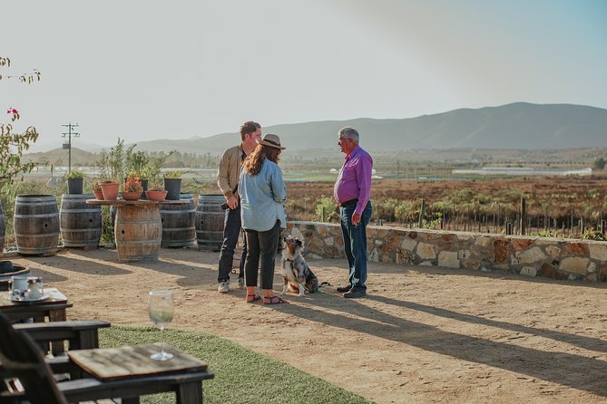 Xecue Wine Tasting in the Guadalupe Valley - How Xecue fits into a Guadalupe Valley day