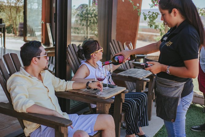 Xecue Wine Tasting in the Guadalupe Valley - Who will get the most from this tasting