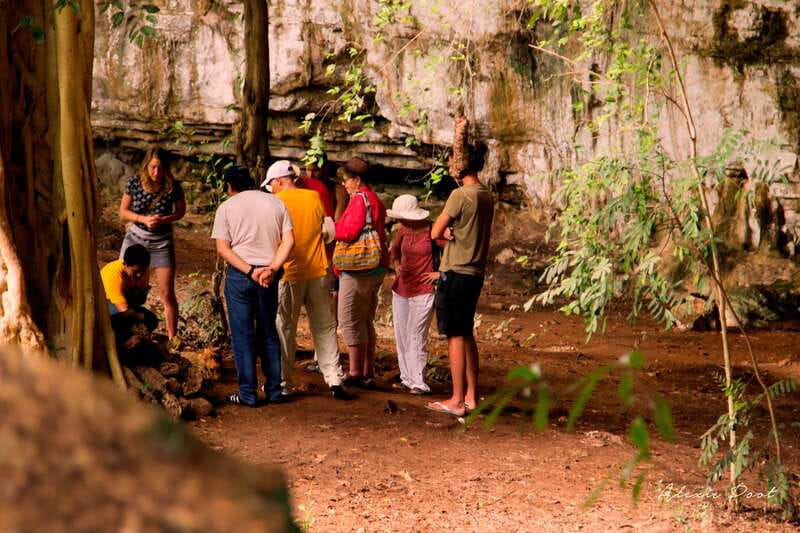 Xkopek, Mayan Bees Tour and Honey Tasting in Valladolid - Key points about the Xkopek bee tour
