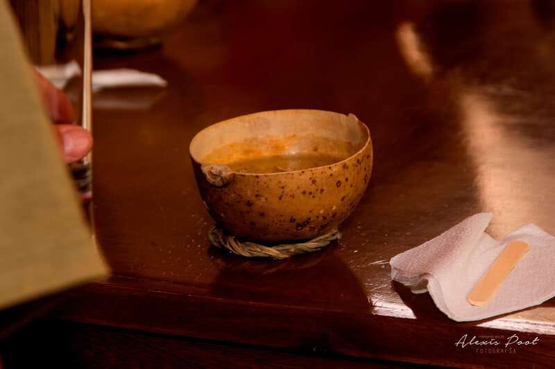 Xkopek, Mayan Bees Tour and Honey Tasting in Valladolid - Who will enjoy this tour most