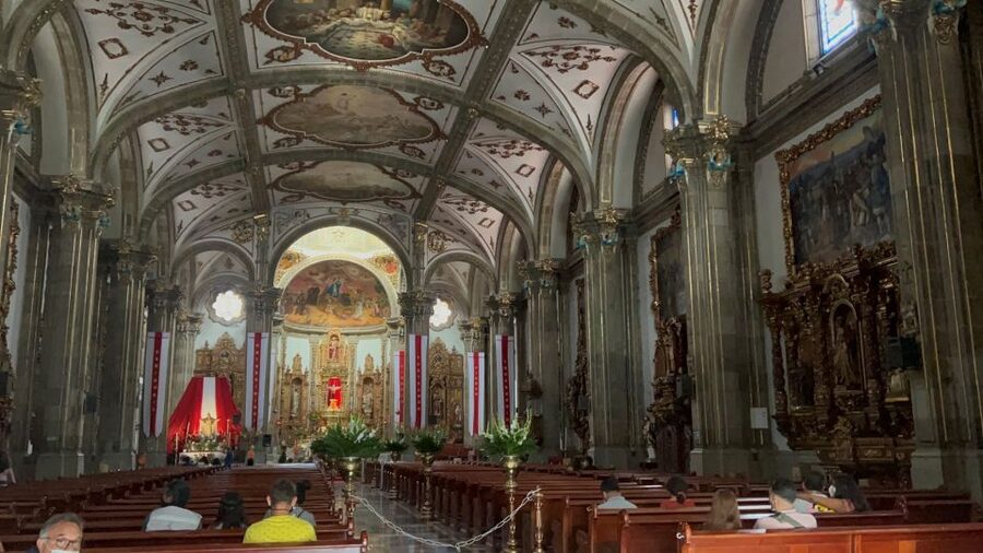 Xochimilco & Colonial Coyoacan Trip - Who should book this half-day outing?