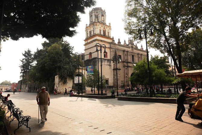 Xochimilco, Coyoacan and Frida Kahlo with Optional Lunch - Guides, language, and how the group feels