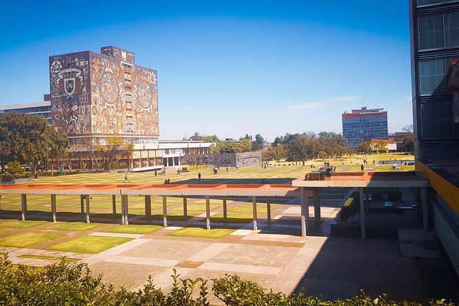 Xochimilco, Coyoacan, Aztec Stadium & UNAM - Guides can make or break the day