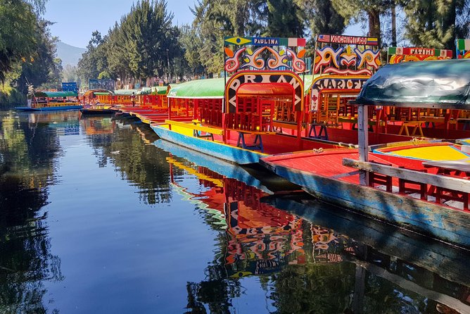 Xochimilco, Coyoacan, Aztec Stadium & UNAM - UNAM: murals, buildings and a taste of University City