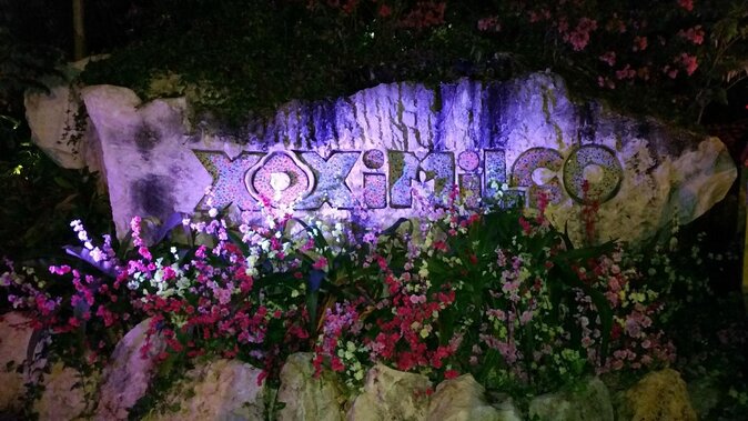 Xoximilco Ticket: Boat Fiesta, Traditional Tasting & Tequila Bar - What the Xoximilco night is really like