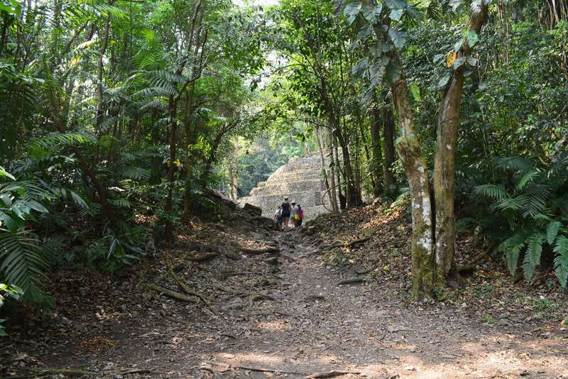 Yaxchilan & Bonampak Ruins and Lacandon Jungle from Palenque - Who should book this experience?