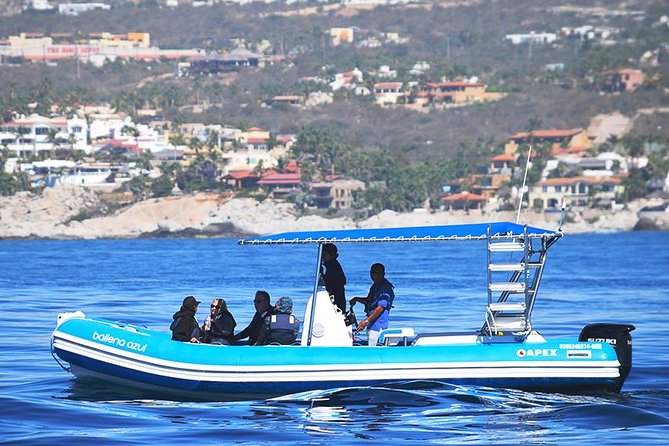 ZODIAC Whale Watch Tour | Cabo San Lucas | Biologist | FREE Pics - Leaving the marina for El Arco